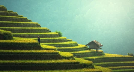 Photo sur Plexiglas Mu Cang Chai Rice Fields Terraced Mu Cang Chai Yenbai Vietnam 2