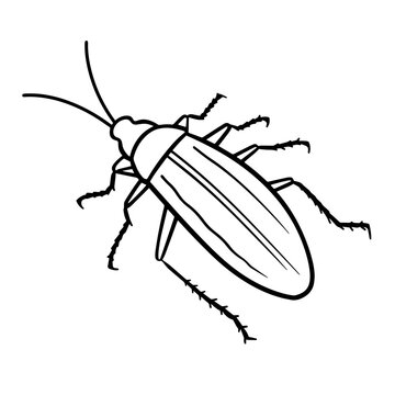 Vector outline icon depicting a cockroach, suitable for various designs.