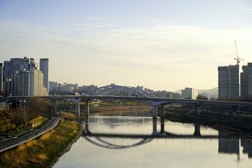 응봉산 개나리, 응봉교