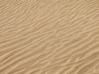 Fototapeta na wymiar a close up of a sand dune with a few small ripples