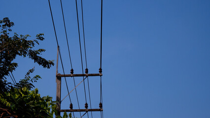 Electric poles with trees and blue sky background. Background of clear sky during the daytime....