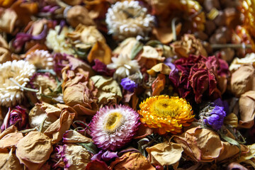 Dried flowers close up.