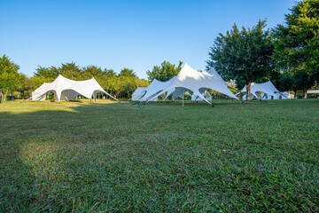 The camping grassland in the park in the morning