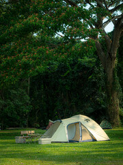Dome-shaped tent pitched in grassy field. Large tree in background, Shady atmosphere Holiday activities