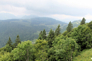 Fototapeta na wymiar A view of the Austrian Countryside near St Gilgen