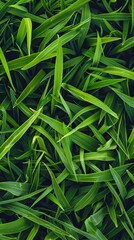 Naklejka premium Lush green grass texture background