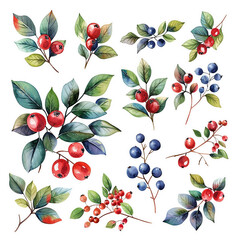 Set of stickers with berries and currant branches. Watercolor illustration.