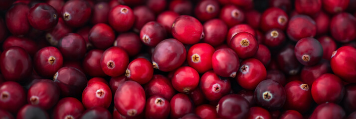 Vibrant red cranberries, highlighting their shiny texture and natural beauty.