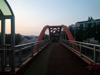 bridge over the river