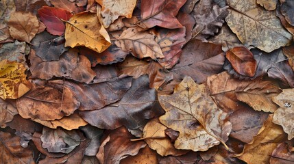 Close-up of a dense layer of colorful fallen autumn leaves