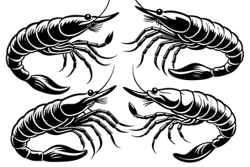 shrimp-set-vector-illustration 