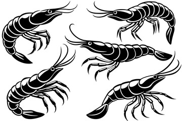 shrimp-set-vector-illustration 
