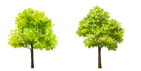 Fototapeta premium Vertor set of green tree,plants side view for landscape elevations,element for backdrop,eco environment concept design,watercolor greenery scene