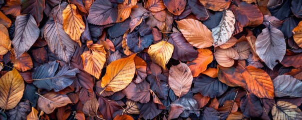 Vibrant autumn leaves creating a natural mosaic of seasonal colors - obrazy, fototapety, plakaty