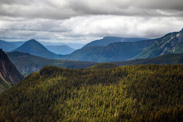 Fototapeta premium Forested Slopes of the Cascade Mountains, Washington