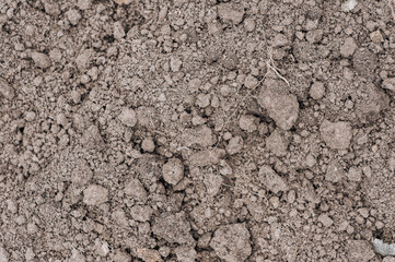 Background of dug up earth, Ukrainian black soil. Nature photography, agriculture.