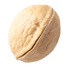 Walnut isolated white background