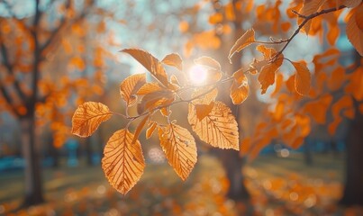 Gorgeous golden leaves adorn a tranquil park scene with mesmerizing bokeh. Authentic autumn atmosphere