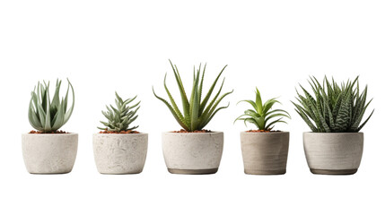 fiber pots with fake plant isolated on white background ,Modern Cement pots with plants , Modern flowerpot,Fiberclay Pot,Concrete terrazzo lightweight