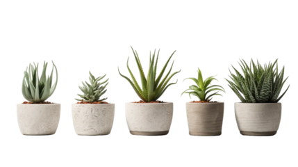 fiber pots with fake plant isolated on white background ,Modern Cement pots with plants , Modern flowerpot,Fiberclay Pot,Concrete terrazzo lightweight