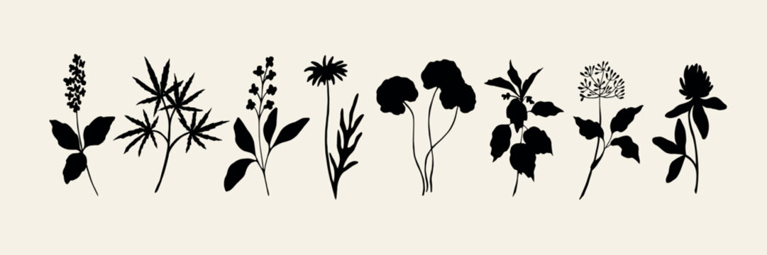 Flat vector herbal plants and flowers