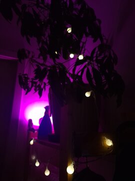 silhouette of a person