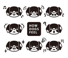 Fototapeta premium Clip art set of black and white cute Beagle face