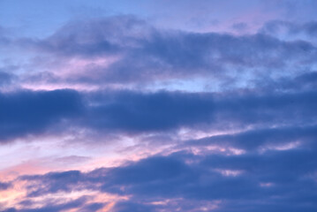 Naklejka na ściany i meble Evening sunset sky. Light blue yellow clouds in the sky.