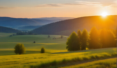 Evening sun during sunset in czech national pak Ceske Svycarsko