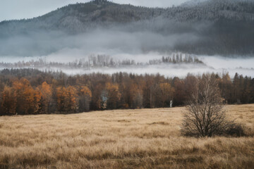 Obraz na płótnie Canvas Foggy mountains shrouded in mist create a mysterious landscape at sunrise