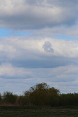 Obraz premium A field with trees and clouds