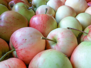 apples in the market