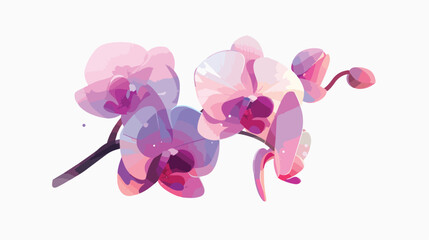 Orchid 2d flat cartoon vactor illustration isolated