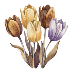 watercolor bouquet of tulips in vintage style, isolated on white background