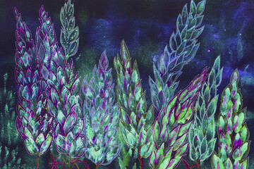 Psychedelic lupines in the blue hour. The dabbing technique near the edges gives a soft focus effect due to the altered surface roughness of the paper. - 778918519