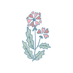 Colorful flower, hand drawn, vector flat illustration. Flowering plants with stems and leaves isolated on white. Floral decoration or gift. for your design