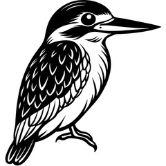 Obraz premium bird on a branch, black Kingfisher silhouette vector illustration,icon,svg,bird characters,Holiday t shirt,Hand drawn trendy Vector illustration,Kingfisher bird on black background