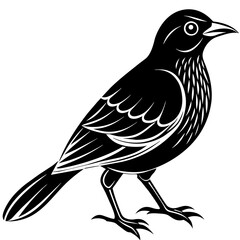 Naklejka premium bird on a branch, black Kingfisher silhouette vector illustration,icon,svg,bird characters,Holiday t shirt,Hand drawn trendy Vector illustration,crow bird on black background
