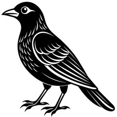 bird on a branch, black Kingfisher silhouette vector illustration,icon,svg,bird characters,Holiday t shirt,Hand drawn trendy Vector illustration,crow bird on black background