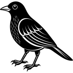 bird on a branch, black Kingfisher silhouette vector illustration,icon,svg,bird characters,Holiday t shirt,Hand drawn trendy Vector illustration,crow bird on black background