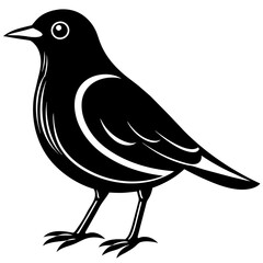 bird on a branch, black Kingfisher silhouette vector illustration,icon,svg,bird characters,Holiday t shirt,Hand drawn trendy Vector illustration,crow bird on black background