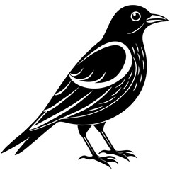 bird on a branch, black Kingfisher silhouette vector illustration,icon,svg,bird characters,Holiday t shirt,Hand drawn trendy Vector illustration,crow bird on black background