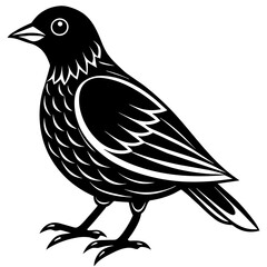 bird on a branch, black Kingfisher silhouette vector illustration,icon,svg,bird characters,Holiday t shirt,Hand drawn trendy Vector illustration,crow bird on black background