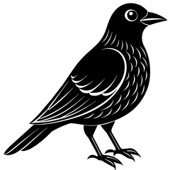 bird on a branch, black Kingfisher silhouette vector illustration,icon,svg,bird characters,Holiday t shirt,Hand drawn trendy Vector illustration,crow bird on black background