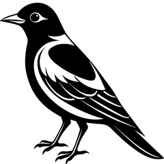 bird on a branch, black Kingfisher silhouette vector illustration,icon,svg,bird characters,Holiday t shirt,Hand drawn trendy Vector illustration,crow bird on black background