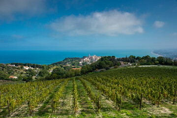 Ancona Conero regional park  Sirolo Verdicchio vineyards