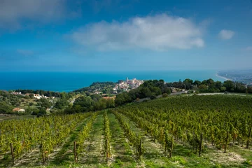 Foto auf Acrylglas Ancona Conero regional park  Sirolo Verdicchio vineyards © FV Photography
