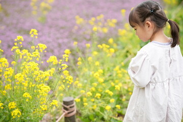 春の訪れを喜ぶ、花見する女の子