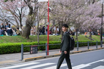 満開の桜に囲まれた通りの横断歩道を渡る男性