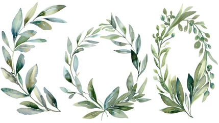 Fotobehang Watercolor set of frames and olive branch wreaths © Postproduction